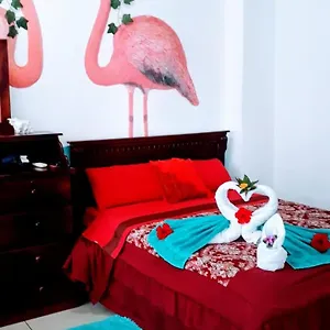 Galarous Island Appartement